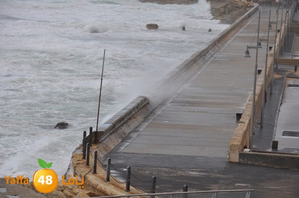 yaffa rain 1211 (9).JPG